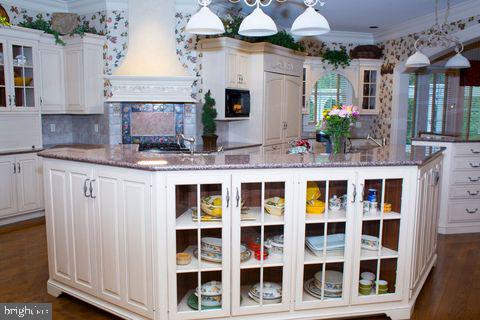 kitchen featuring a large fireplace, a spacious island, ornamental molding, dark wood-style floors, and glass insert cabinets