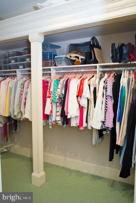 view of closet