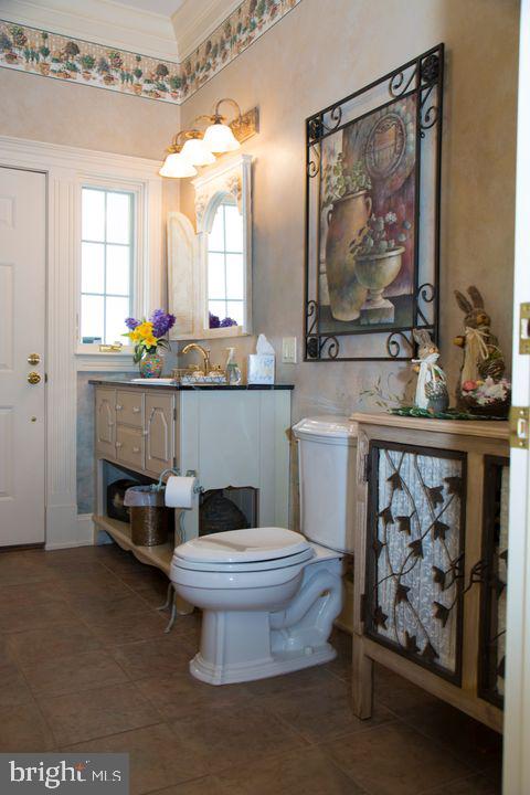 half bath featuring a wealth of natural light, ornamental molding, vanity, and toilet