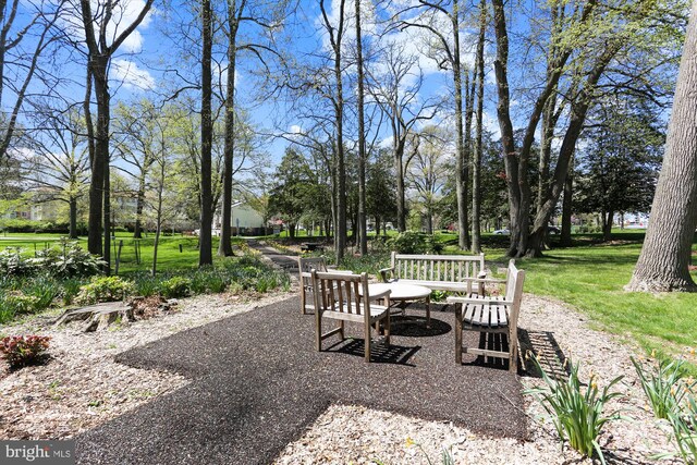 view of yard featuring a patio area