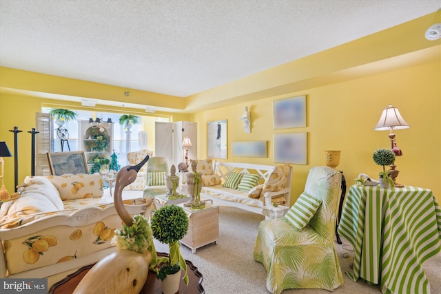 living room featuring carpet floors and a textured ceiling