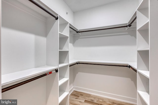 spacious closet with light wood-style flooring