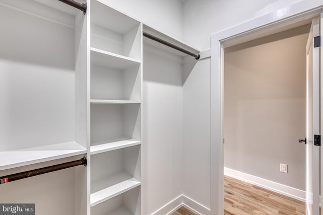 spacious closet featuring light wood-style floors