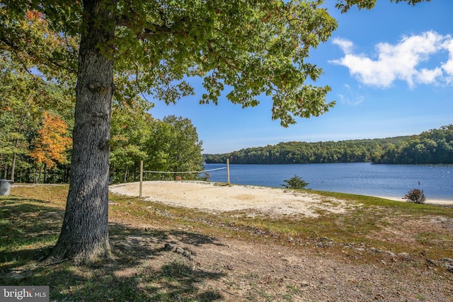 property view of water featuring a view of trees