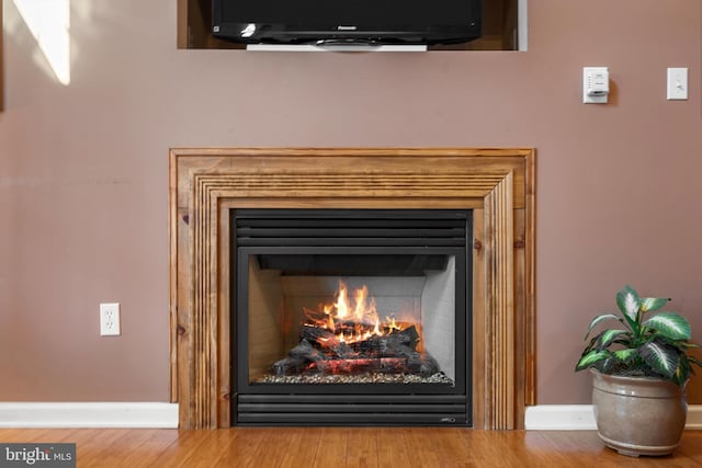 details with a warm lit fireplace, baseboards, and wood finished floors