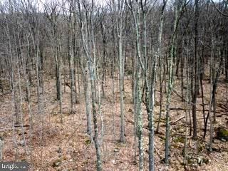 Bear Run, Oakland MD, 21550 land for sale