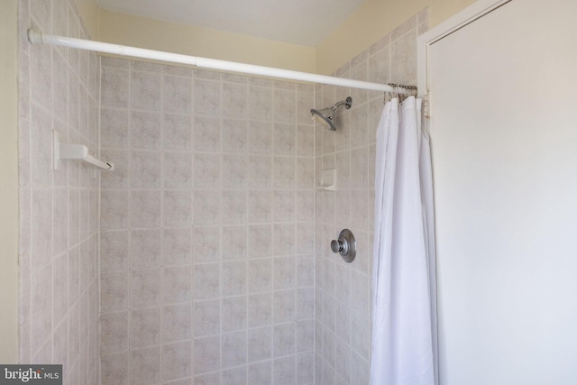 full bathroom with a tile shower