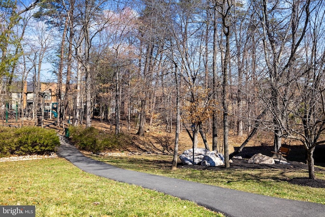 view of community with a yard