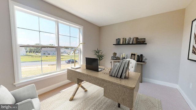 office area featuring carpet flooring and baseboards