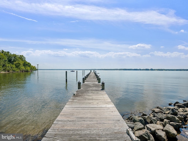 dock area with a water view