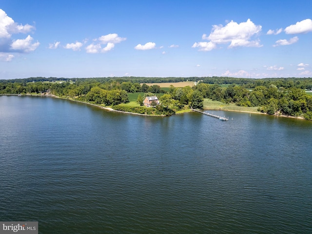 bird's eye view with a forest view and a water view