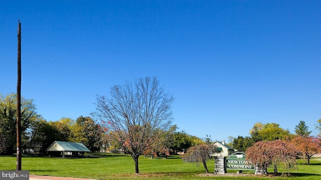 view of community with a yard