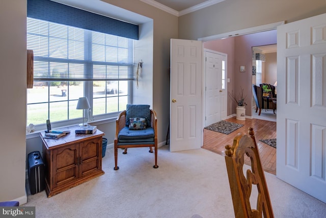 sitting room featuring ornamental molding, light colored carpet, and baseboards