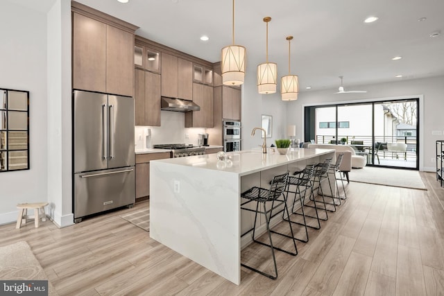 kitchen featuring under cabinet range hood, light wood-type flooring, a kitchen breakfast bar, and appliances with stainless steel finishes