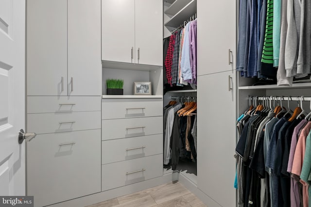 spacious closet with light wood-style flooring