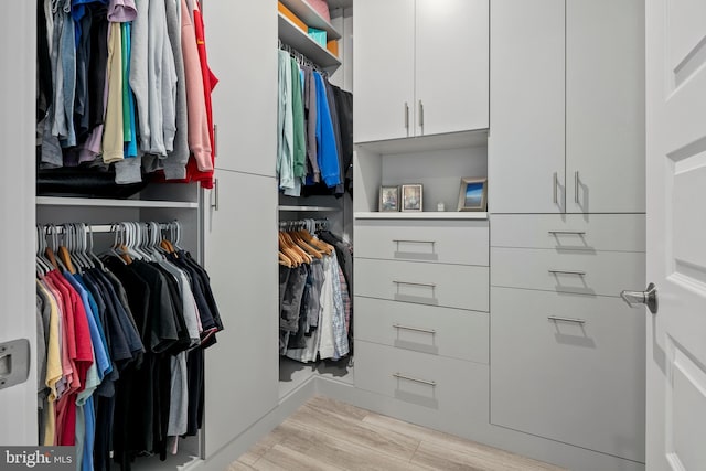 spacious closet with light wood finished floors