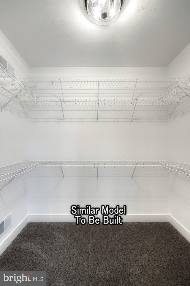 walk in closet with carpet floors and visible vents