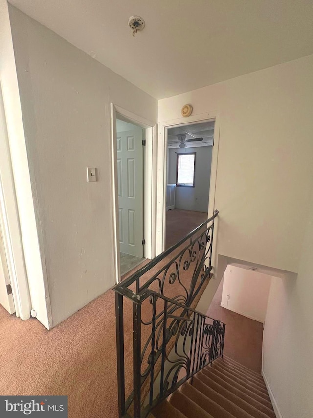 stairs featuring carpet flooring
