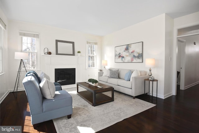 living area with a glass covered fireplace, baseboards, and wood finished floors