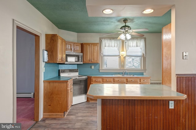 kitchen featuring electric range, stainless steel microwave, wood finished floors, baseboard heating, and a sink