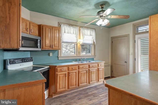 kitchen with range with electric cooktop, radiator heating unit, stainless steel microwave, wood finished floors, and a sink