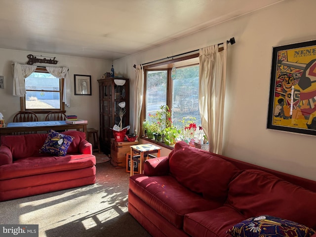 living room with carpet