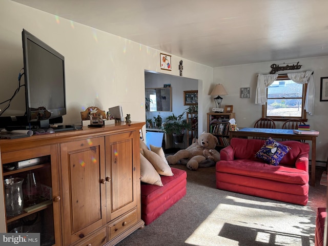 living area with carpet floors and a baseboard radiator