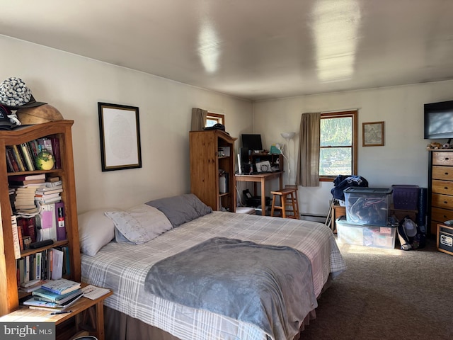 bedroom with carpet floors