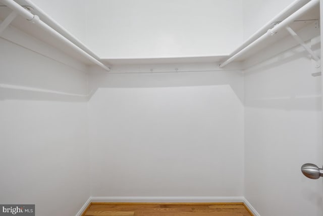 walk in closet featuring light wood-type flooring