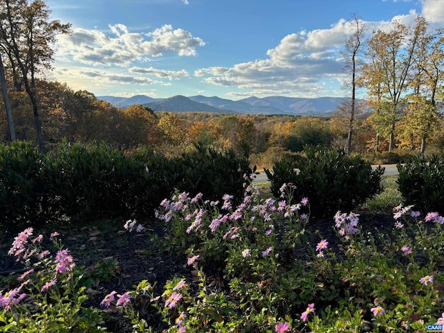 view of mountain feature featuring a wooded view