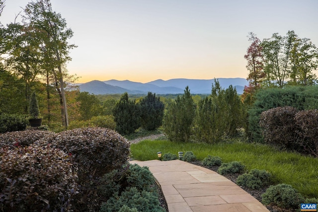 mountain view featuring a view of trees