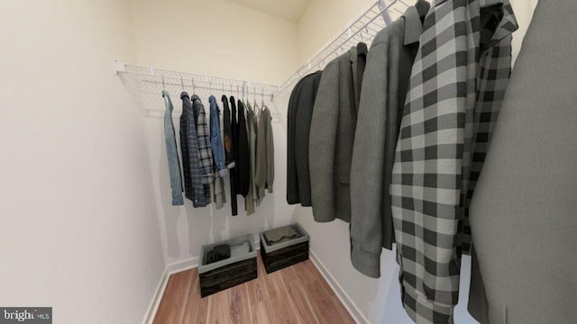 spacious closet with wood finished floors