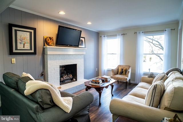 living area with ornamental molding, dark wood-style flooring, a fireplace, and baseboards