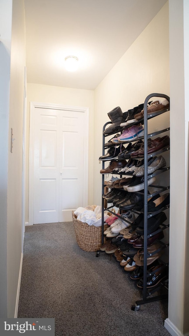 spacious closet with carpet floors