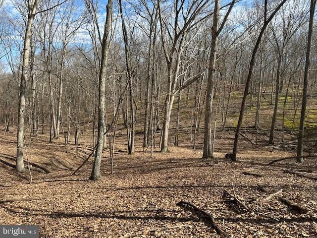 15.02AC Beam Rd, Romney WV, 26757 land for sale