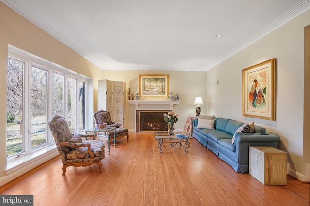 living room featuring a fireplace with flush hearth, crown molding, plenty of natural light, and wood finished floors