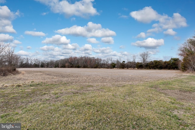 117 Quaker Neck Rd, Salem, NJ 08079 - view of yard featuring a rural view