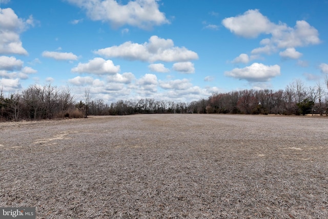 117 Quaker Neck Rd, Salem, NJ 08079 - view of yard