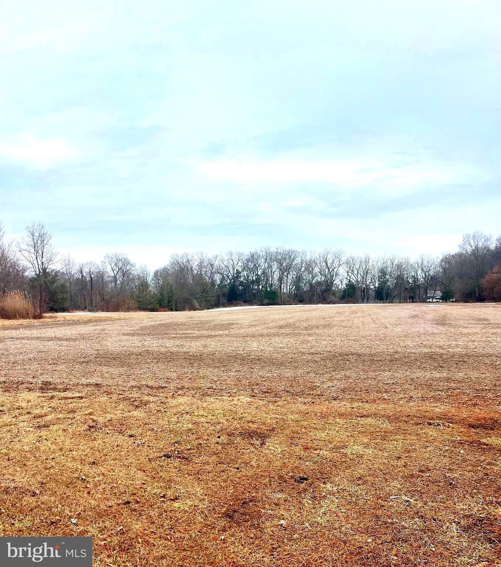 view of local wilderness with a rural view