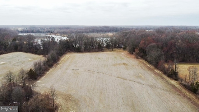 117 Quaker Neck Rd, Salem, NJ 08079 - bird's eye view with a view of trees