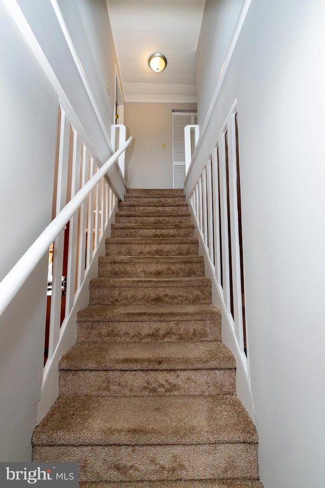 117 Quaker Neck Rd, Salem, NJ 08079 - view of stairs
