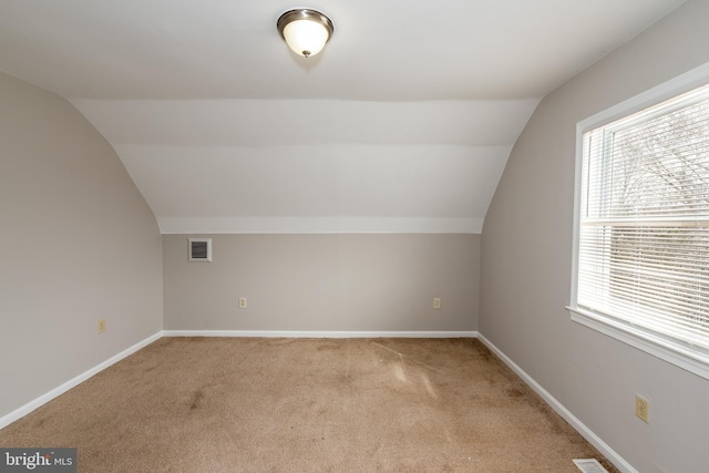 117 Quaker Neck Rd, Salem, NJ 08079 - additional living space featuring visible vents, carpet flooring, baseboards, and vaulted ceiling