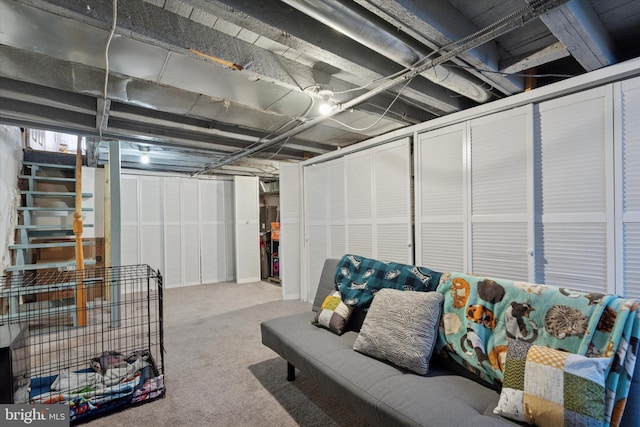 basement featuring carpet floors