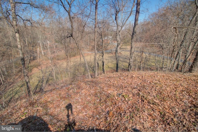 view of local wilderness featuring a forest view