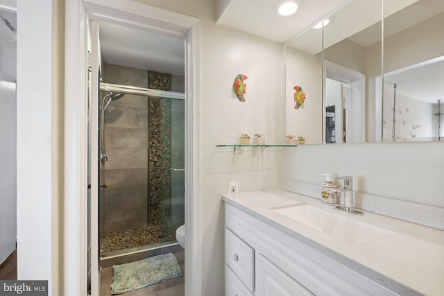 bathroom featuring vanity, a shower stall, and toilet