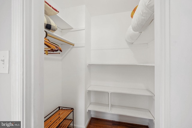 view of walk in closet