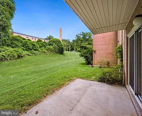 view of yard featuring a patio