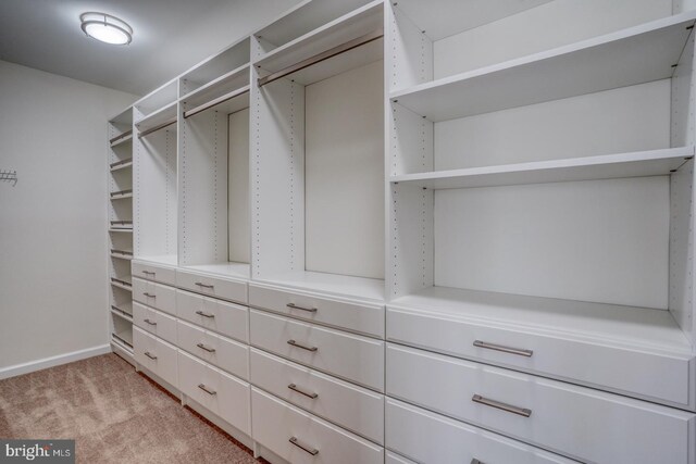 spacious closet with light carpet