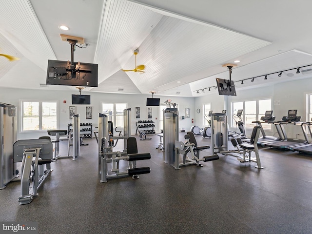exercise room with a wealth of natural light, rail lighting, and lofted ceiling