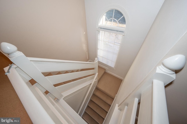 stairs with carpet